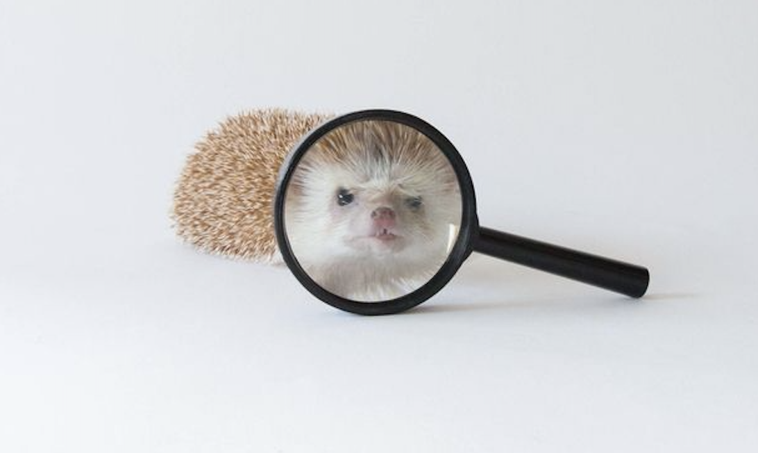 Mole Patrol!